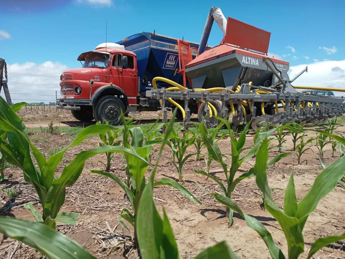 Aplicación de fertilizantes Yara en cultivo de maíz con sembradora Altina