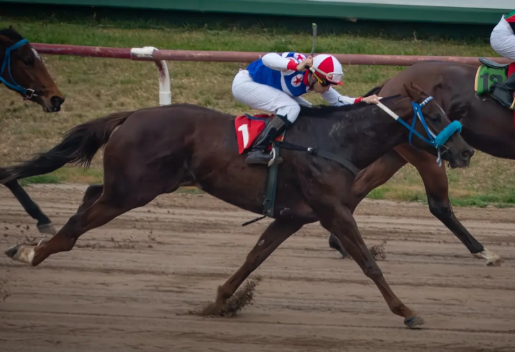 Nueva victoria de Río Legend, ejemplar del Haras Costa del Río